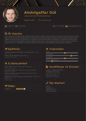 Bilgisayar Programcısı CV Örnekleri cv indir